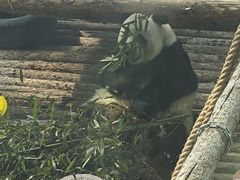 -大连森林动物园