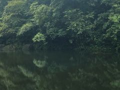 -白云源风景区