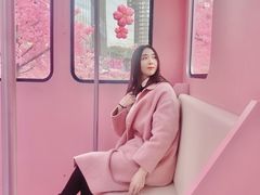 -金茂览秀城