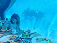 -海棠湾洲际-涛·海底餐厅·美人鱼·自助餐·海底隧道