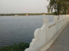 -大兴滨河森林公园