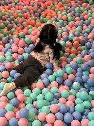 -酷嗒动物文化乐园(cutezoo西溪乐天城店)