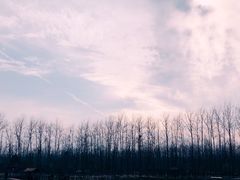 -合肥滨湖国家森林公园