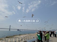 -大连星海广场音乐喷泉