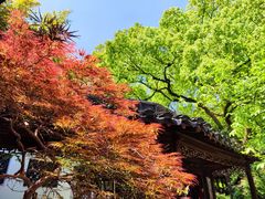 -上海醉白池公园