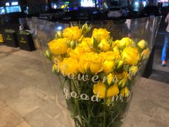-宝鸡东道花鸟鱼虫市场(吉利花园商场店)