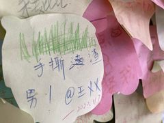 -五条人糖水铺(武林总店)