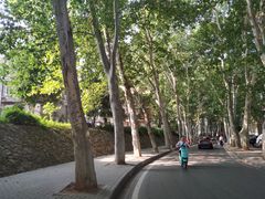 -武汉大学-樱园