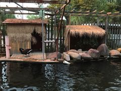 -湖鲜楼