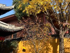 -龙华素斋(龙华路店)