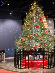 -幻贝家儿童乐园(温州银泰城店)