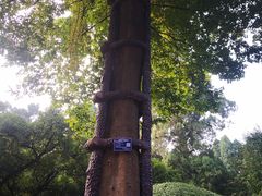 -武侯墓风景区