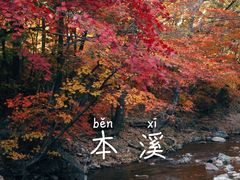 -洋湖沟