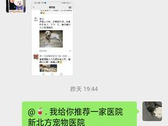 -德元·美联众合24小时动物医院(总院)