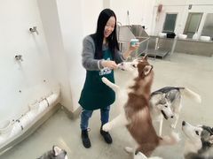 -星多哈·狗咖·拼豆·咖啡