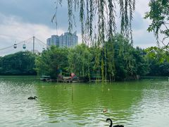 -郑州市动物园