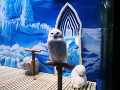 -成都浩海立方海洋公园