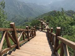 -大岭沟猕猴桃谷风景区