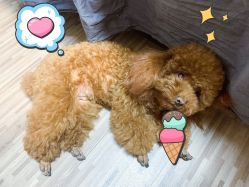 -JERRY日式美甲美睫纹绣工坊
