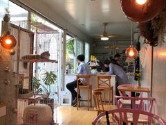 -灯塔咖啡馆BOOK·Coffee Shop