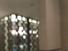 -佘山世茂艾美·御珍轩中餐厅