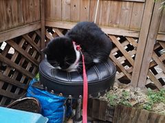 -艾加柒克蛋糕茶歇甜品台(春熙路店)