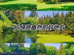 -上海滨江森林公园