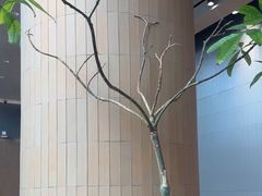 -M Stand(北京平安幸福中心店)