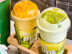 -茉酸奶(春熙路店)