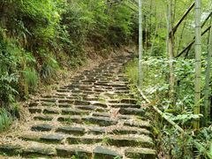 -四明山国家森林公园