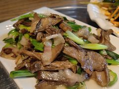 -老号尤兔头(幸福店)