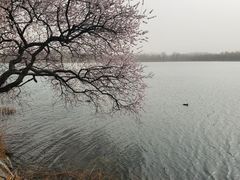-颐和园
