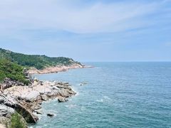-广东惠东海龟国家级自然保护区
