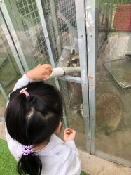 -萌宠亲子动物乐园(槐房万达店)