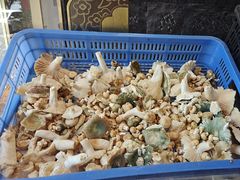 -野菌皇海景野生菌火锅(滨海大道店)
