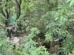 -大雁山风景区
