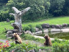 -宁波野生动物园