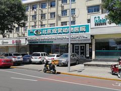 -北京观赏动物医院·24小时大型综合·猫专科·异宠专科