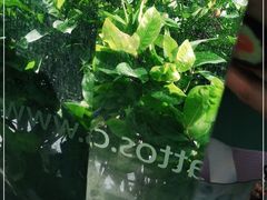 -夏日百货