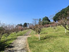 -广州莲花山旅游区