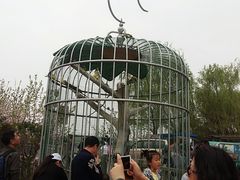 -沈阳鸟岛