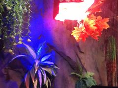 -醉小酒馆·川菜·江湖菜·重庆菜(观音桥旗舰店)