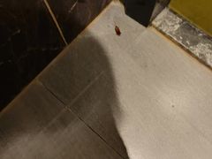 -潮岸酒店(广州琶洲会展广州塔店)