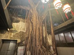 -文儒九号·闽菜馆(三坊七巷店)