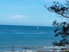 -漳州滨海火山岛自然生态风景区
