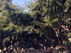 -贮水山儿童公园