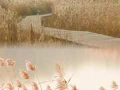 -野鸭湖国家湿地公园