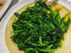 银杏豌豆尖-眉州东坡(春秀路店)