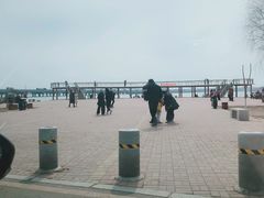 -丁香湖公园