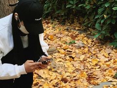 -河南省黄河迎宾馆